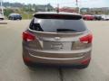 Chai Bronze - Tucson Limited AWD Photo No. 7