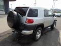 Titanium Metallic - FJ Cruiser 4WD Photo No. 8