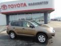 Pyrite Metallic - RAV4 I4 4WD Photo No. 2