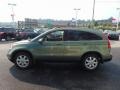 2009 Green Tea Metallic Honda CR-V EX-L 4WD  photo #6