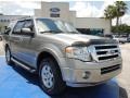 2009 Vapor Silver Metallic Ford Expedition XLT  photo #7