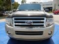 2009 Vapor Silver Metallic Ford Expedition XLT  photo #8