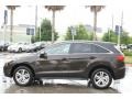 Kona Coffee Metallic - RDX  Photo No. 5