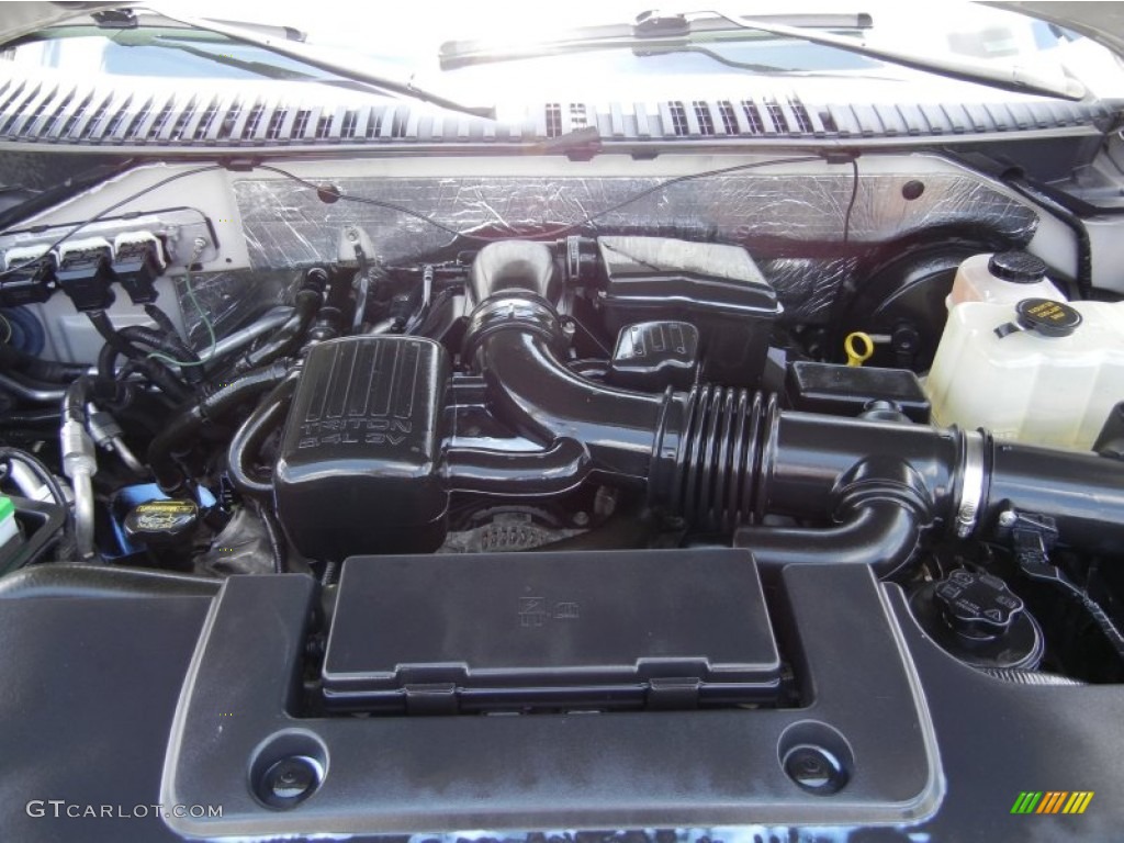 2009 Ford Expedition XLT 5.4 Liter SOHC 24-Valve Flex-Fuel V8 Engine Photo #95680791
