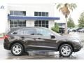 Kona Coffee Metallic - RDX  Photo No. 9