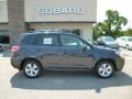 2015 Dark Gray Metallic Subaru Forester 2.5i Premium  photo #8