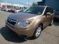 Burnished Bronze Metallic - Forester 2.5i Premium Photo No. 3