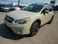 Desert Khaki - XV Crosstrek 2.0i Premium Photo No. 3