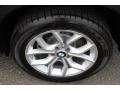 2014 BMW X3 xDrive35i Wheel and Tire Photo