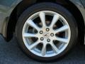 Carbon Gray Pearl - TSX Sedan Photo No. 20