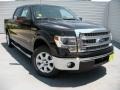 Tuxedo Black - F150 XLT SuperCrew Photo No. 2