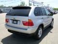 2001 Titanium Silver Metallic BMW X5 3.0i  photo #6