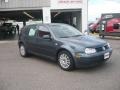 2005 Blue Anthracite Metallic Volkswagen Golf GLS TDI 4 Door  photo #3