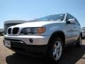 2002 Titanium Silver Metallic BMW X5 3.0i  photo #9