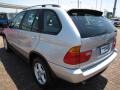 2002 Titanium Silver Metallic BMW X5 3.0i  photo #11