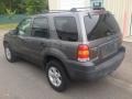 2006 Dark Shadow Grey Metallic Ford Escape XLT V6  photo #9