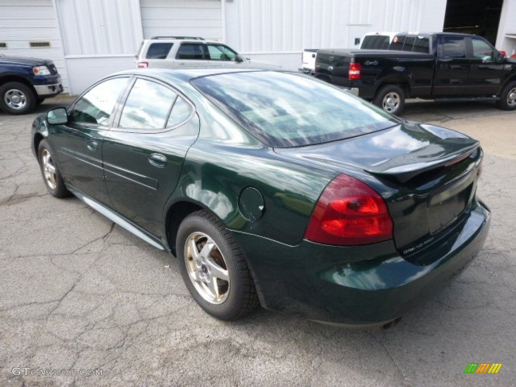 2004 Grand Prix GT Sedan - Polo Green Metallic / Parchment/Dark Pewter photo #6