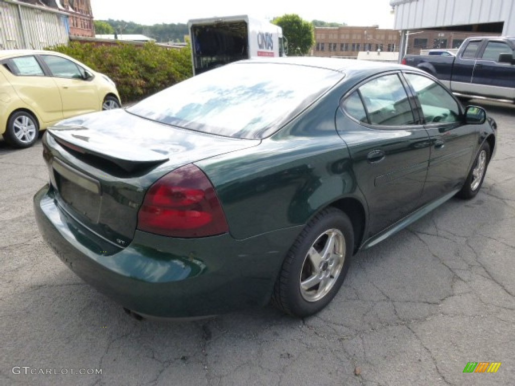 2004 Grand Prix GT Sedan - Polo Green Metallic / Parchment/Dark Pewter photo #8