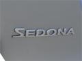 2014 Silverstone Beige Kia Sedona EX  photo #8