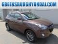 2014 Kona Bronze Hyundai Tucson SE AWD  photo #1