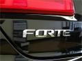 2015 Kia Forte Koup SX Badge and Logo Photo