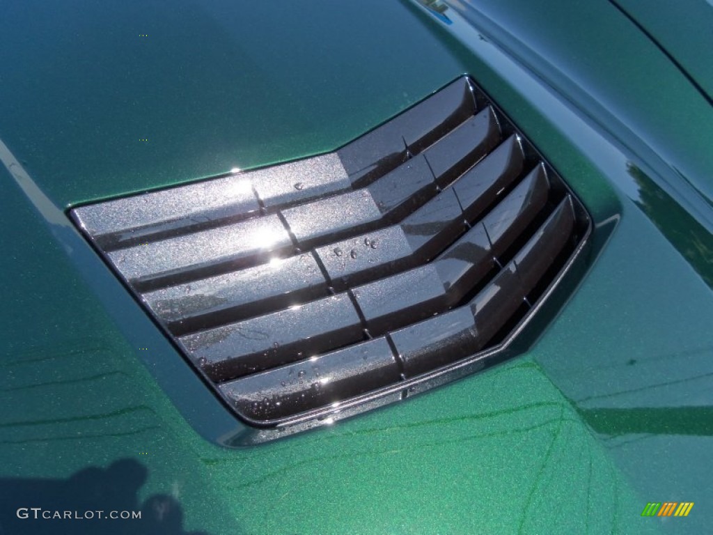 2014 Corvette Stingray Convertible - Lime Rock Green Metallic / Kalahari photo #13