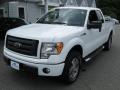 Oxford White - F150 STX SuperCab 4x4 Photo No. 3