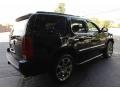 Black Raven - Escalade AWD Photo No. 6
