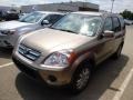 Sahara Sand Metallic - CR-V SE 4WD Photo No. 3