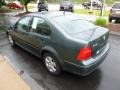 Platinum Grey Metallic - Jetta GLS Sedan Photo No. 6