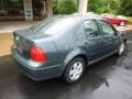 Platinum Grey Metallic - Jetta GLS Sedan Photo No. 8