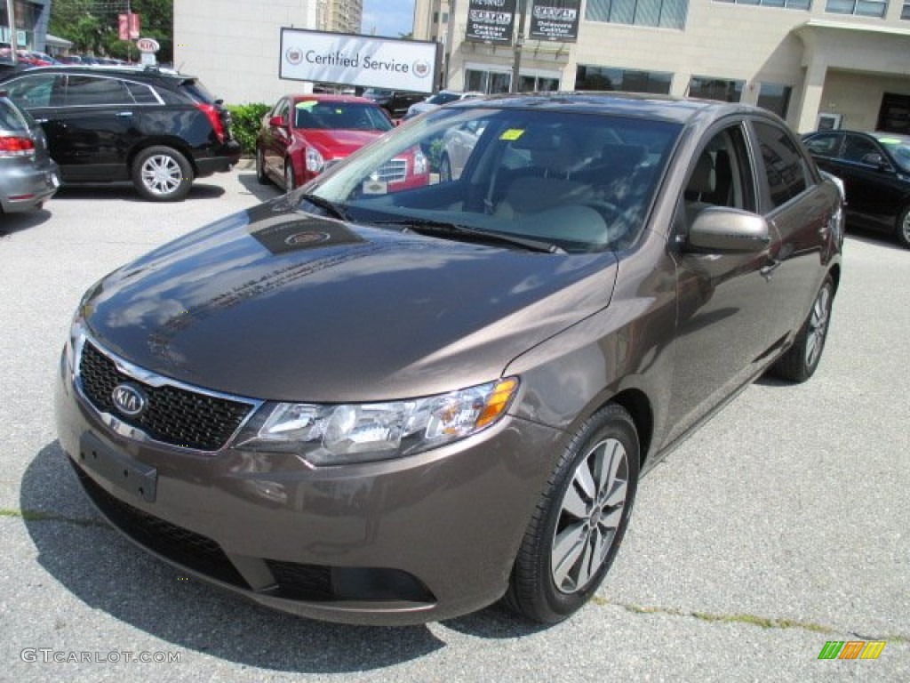 2013 Forte EX - Metallic Bronze / Black photo #2