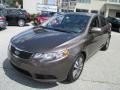 2013 Metallic Bronze Kia Forte EX  photo #2