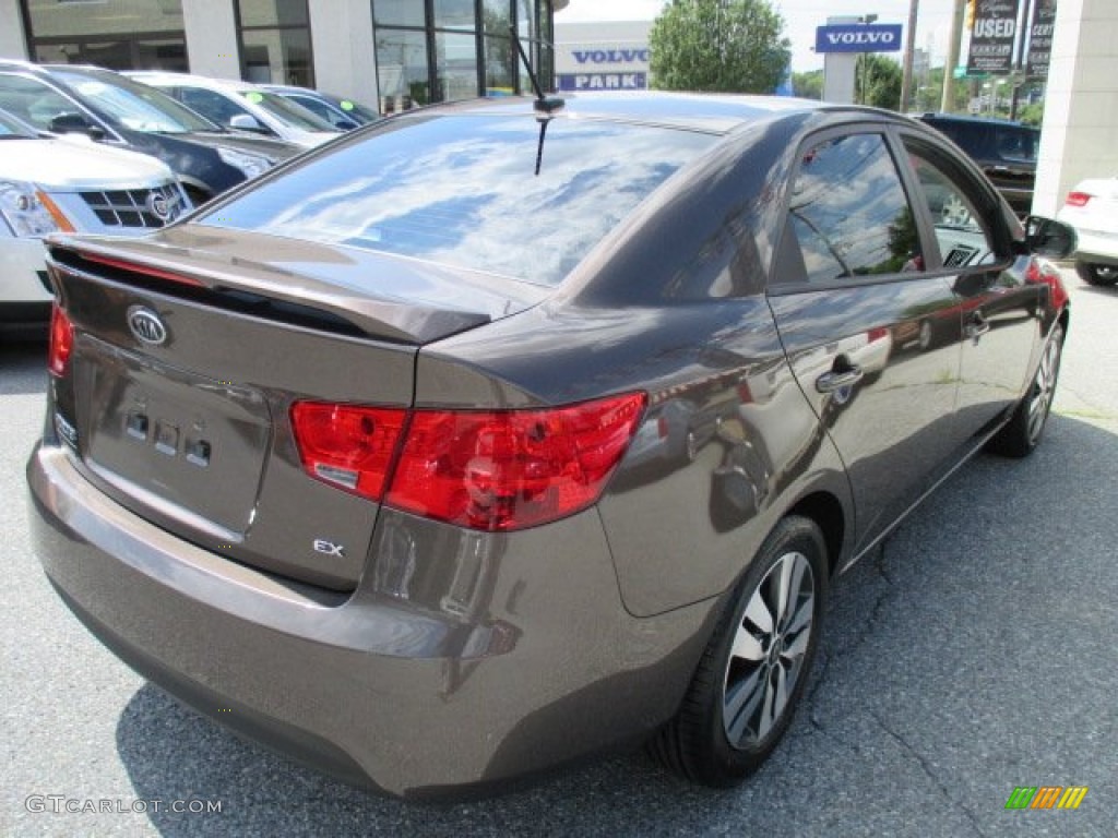 2013 Forte EX - Metallic Bronze / Black photo #6