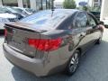 2013 Metallic Bronze Kia Forte EX  photo #6