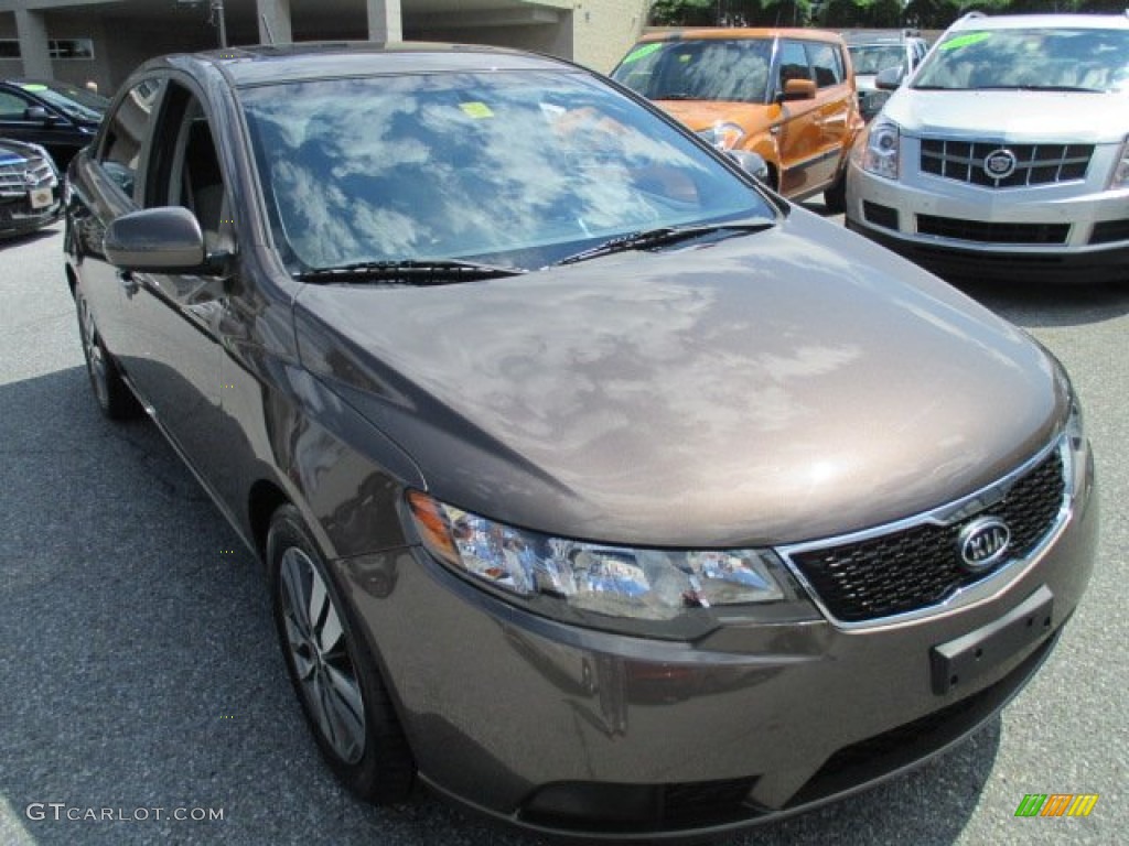 2013 Forte EX - Metallic Bronze / Black photo #8