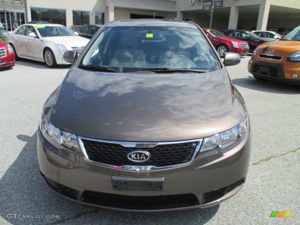 2013 Forte EX - Metallic Bronze / Black photo #9