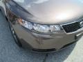 2013 Metallic Bronze Kia Forte EX  photo #26