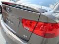 2013 Metallic Bronze Kia Forte EX  photo #28