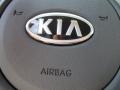 2013 Metallic Bronze Kia Forte EX  photo #42