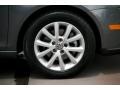 Platinum Grey Metallic - Jetta SE Sedan Photo No. 36