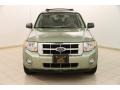 2008 Kiwi Green Metallic Ford Escape XLT V6  photo #2