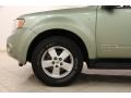 2008 Kiwi Green Metallic Ford Escape XLT V6  photo #16