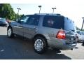 2014 Sterling Gray Ford Expedition Limited  photo #31