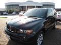 Jet Black - X5 3.0i Photo No. 1