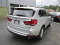 2014 Glacier Silver Metallic BMW X5 xDrive35i  photo #6