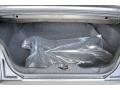 Sterling Gray - Mustang V6 Premium Convertible Photo No. 13