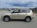 Sandy Beach Metallic - RAV4 V6 4WD Photo No. 4