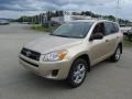 Sandy Beach Metallic - RAV4 V6 4WD Photo No. 5