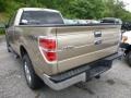 2014 Pale Adobe Ford F150 XLT SuperCab 4x4  photo #4